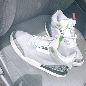 Jordan 3 chlorophyll